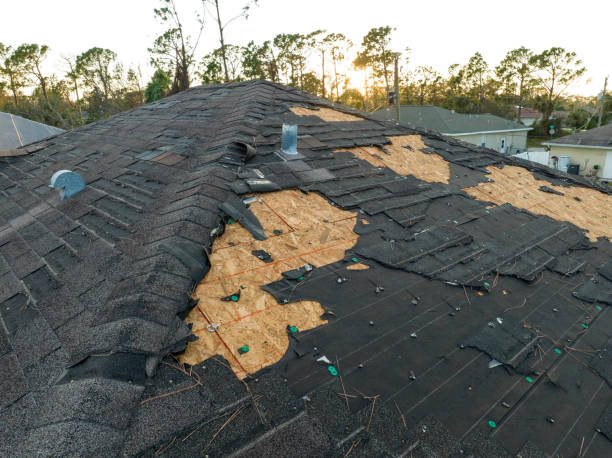 Best 4 Ply Roofing  in Riesel, TX