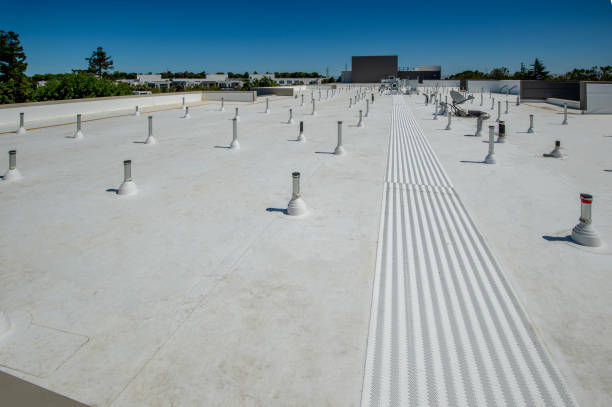 Best Solar Panel Roofing Installation  in Riesel, TX